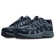 p6000 blue